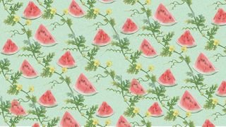 切块西瓜翠绿瓜藤开小花治愈夏季水果