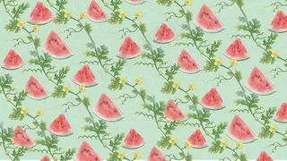 切块西瓜翠绿瓜藤开小花治愈夏季水果