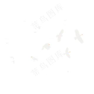 灰色的鸽子和平鸽,免抠元素