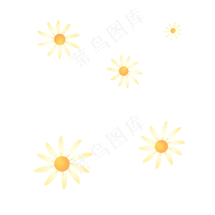 淡黄色秋天小清新菊花