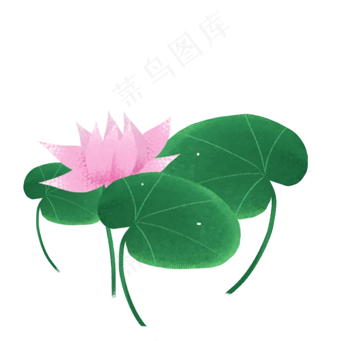 荷花荷叶png素材(2000X2000(DPI:300))psd模版下载
