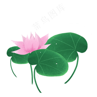 荷花荷叶png素材
