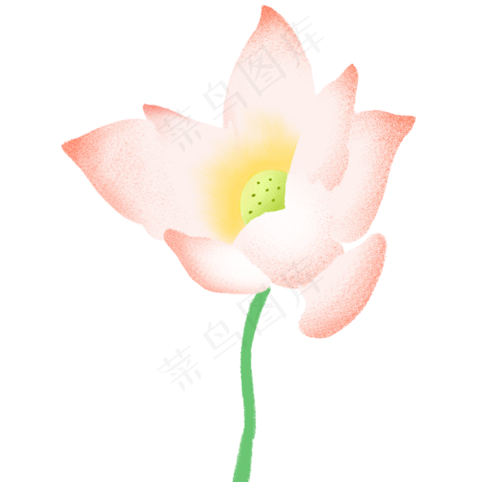盛开的荷花(2000X2000(DPI:300))psd模版下载