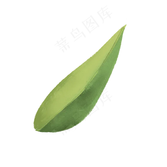 春天绿色水彩树叶(2000X2000(DPI:300))psd模版下载