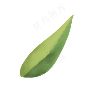 春天绿色水彩树叶