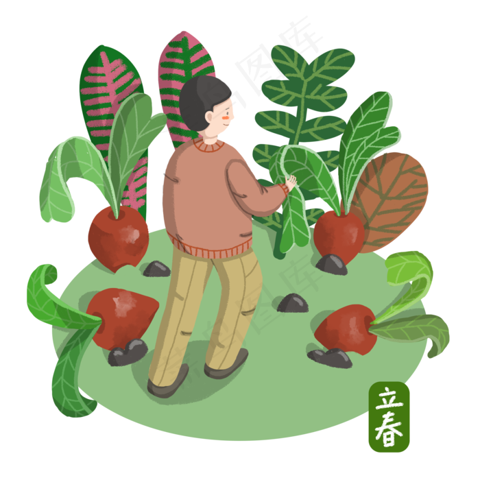 立春在植物园中踏青拔萝卜PNG