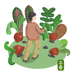立春在植物园中踏青拔萝卜PNG