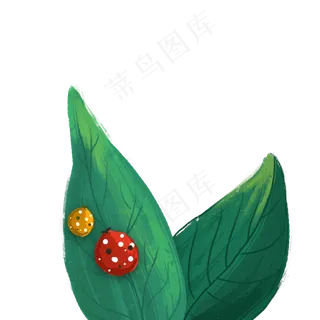绿色的叶子虫子免抠图