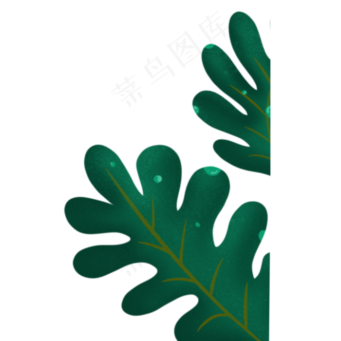 叶子春季自然植物(2000X2000(DPI:300))psd模版下载