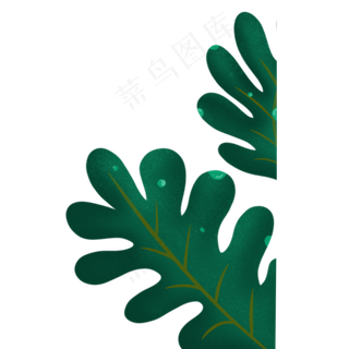 叶子春季自然植物