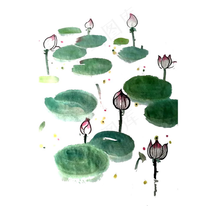 国画水墨莲花碧绿花苞花蕾PNG夏(3000X3000(DPI:300))psd模版下载