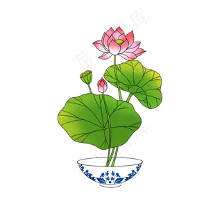 荷花荷叶仿真免扣 荷花荷叶仿真免扣