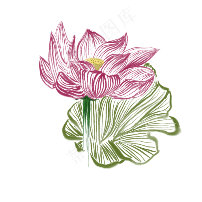 盛开的荷花和荷叶免抠创意插图