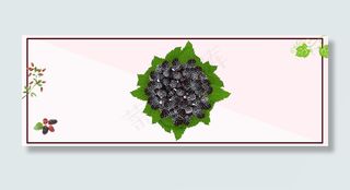桑葚促销粉色简约banner