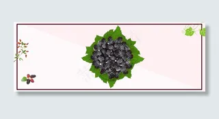 桑葚促销粉色简约banner
