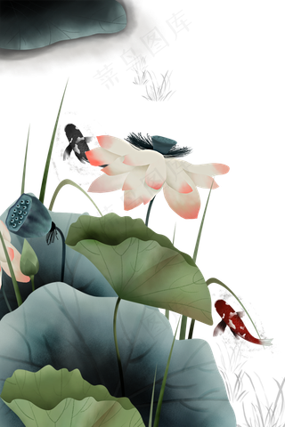工笔画荷花池塘鲤鱼