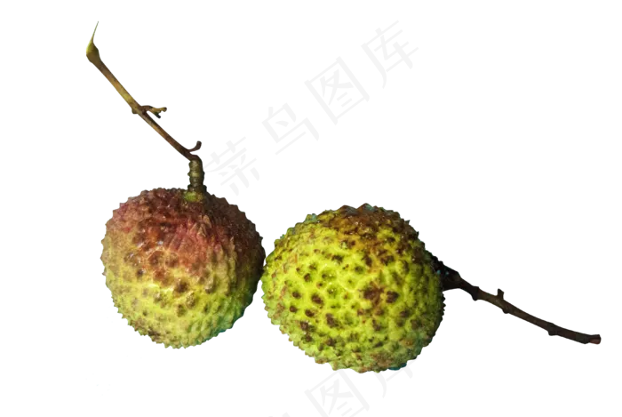 新鲜水果绿色红色荔枝,免抠元素