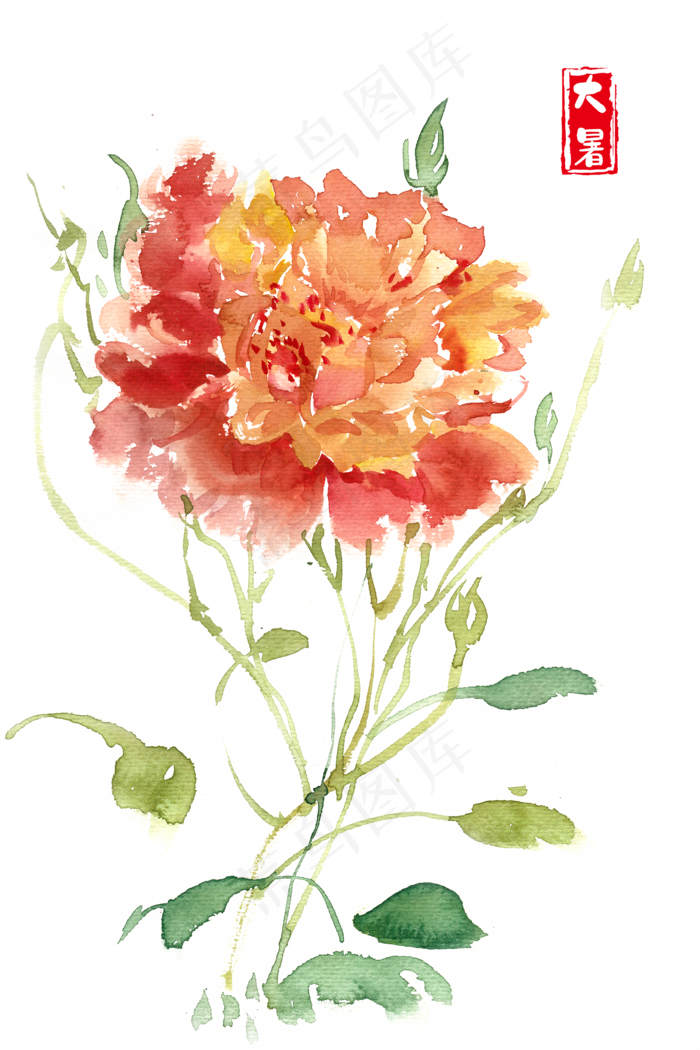 大暑夏日娇艳的花朵(4724X7087(DPI:300))psd模版下载