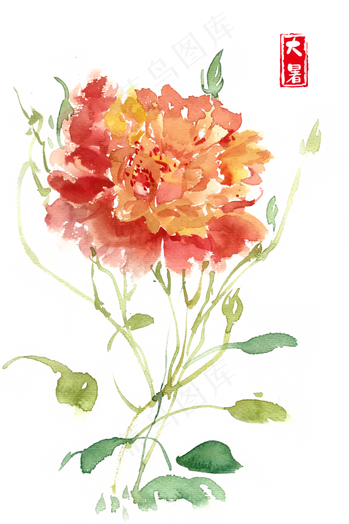 大暑夏日娇艳的花朵(4724X7087(DPI:300))psd模版下载