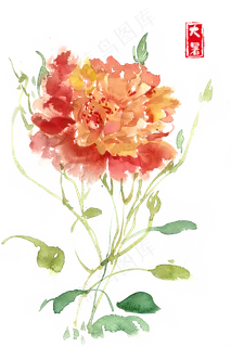 大暑夏日娇艳的花朵 大暑夏日娇艳的花朵