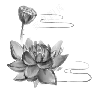 中国风水墨黑白莲花莲蓬