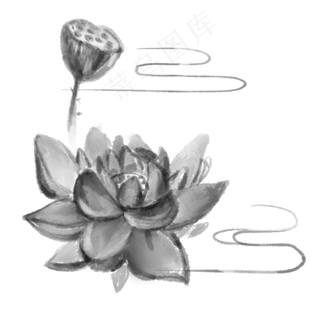 中国风水墨黑白莲花莲蓬