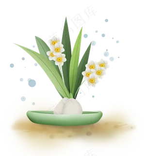 古风盆栽水仙花