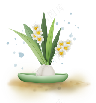 古风盆栽水仙花