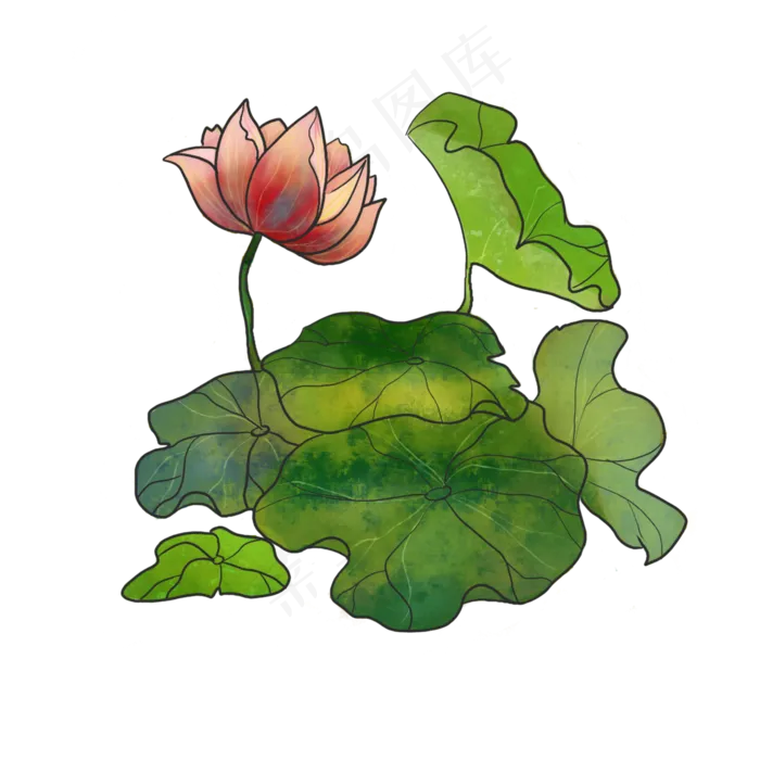 夏季荷花手绘莲花(3000X3000(DPI:299))psd模版下载