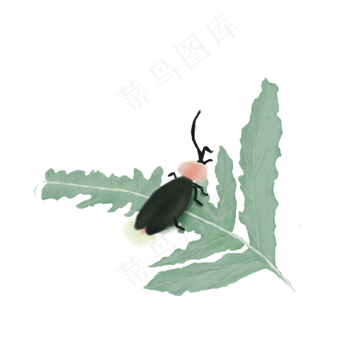 水彩夏至萤火虫PNG素材(2000X2000(DPI:300))psd模版下载