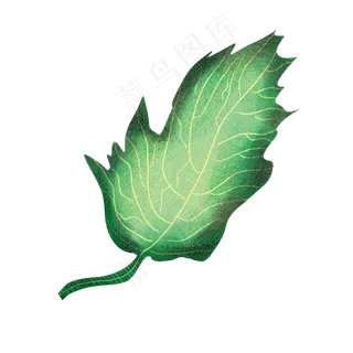 端午节装饰艾草