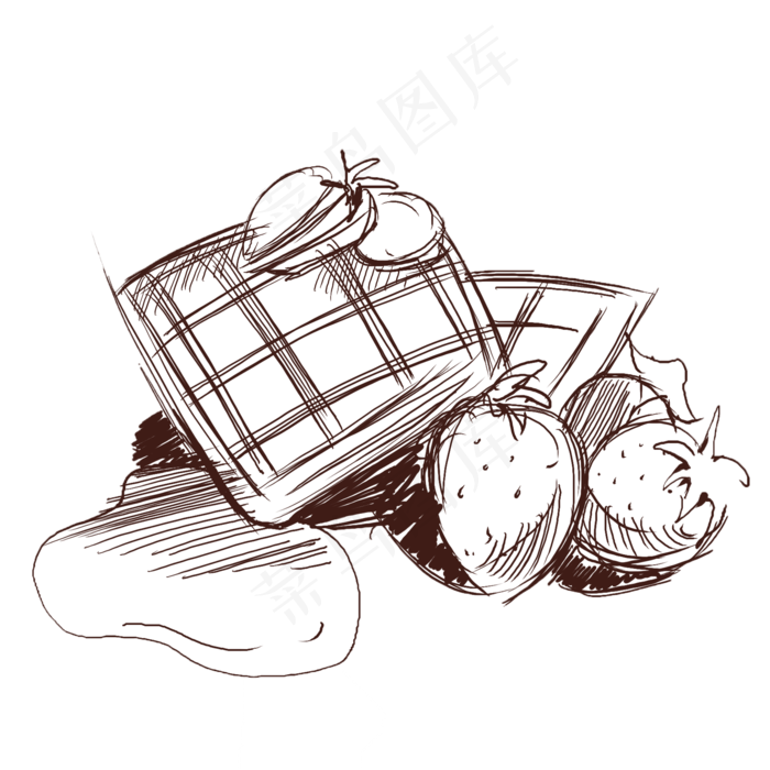 手绘线描水果插画