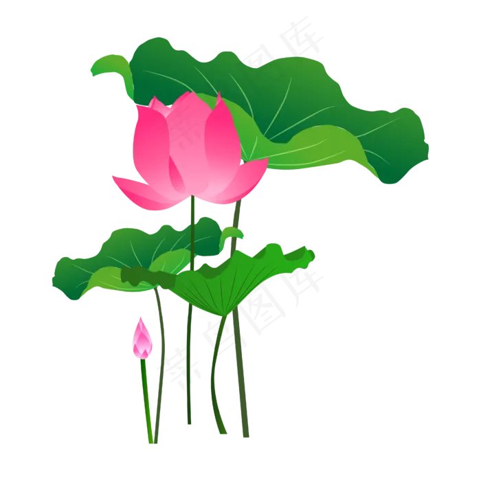 手绘卡通粉色荷花(4167*4167px 300 dpi )ai矢量模版下载