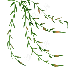 深绿色水彩风渐变飞舞柳条