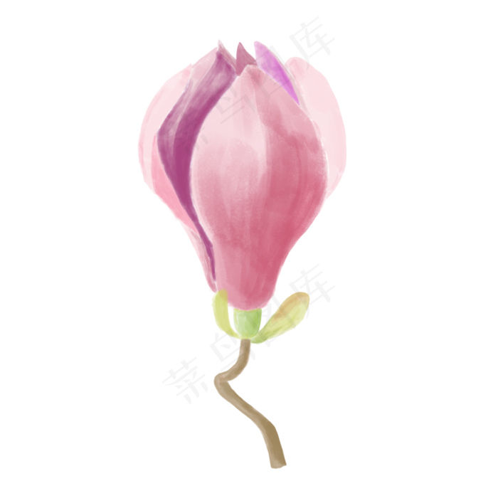 手绘植物花卉粉红色水彩玉兰花花(3000X3000(DPI:300))psd模版下载