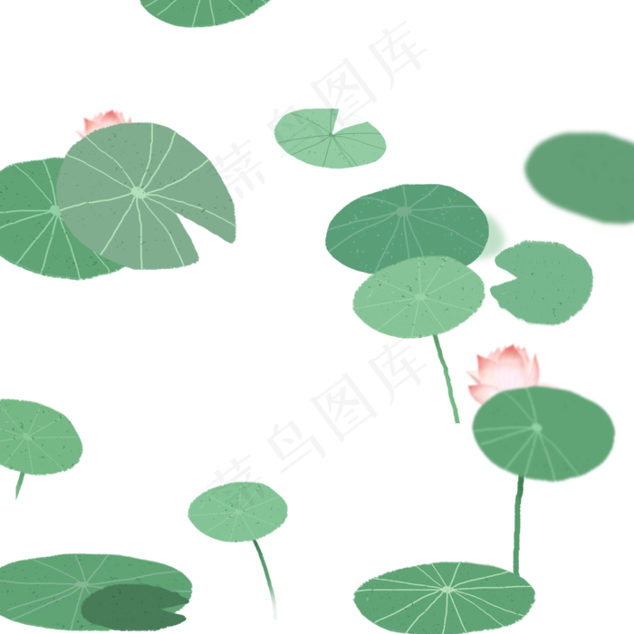 绿色莲花池塘荷叶