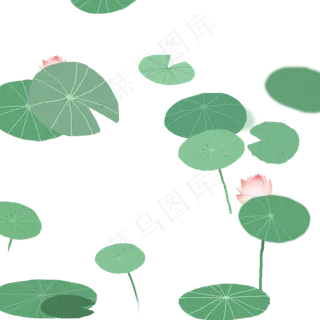 绿色莲花池塘荷叶