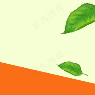 绿色叶子清新水果PSD分层主图