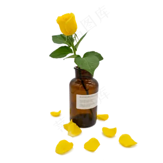 黄色玫瑰花瓣和瓶子