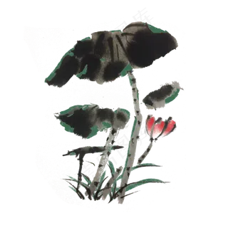 夏天荷花开荷叶手绘墨迹