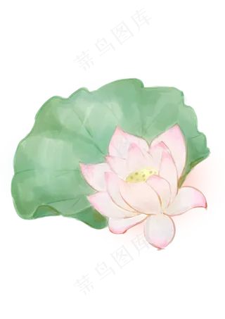 手绘夏日荷花PNG下载