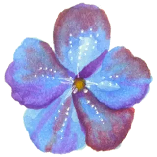 蓝紫色五瓣花免抠图