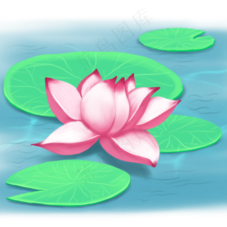 荷花春夏荷塘景色