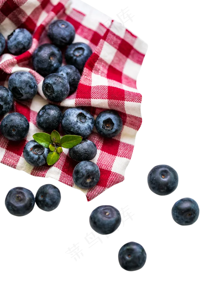 散落在格子布上的蓝莓(1333X1916(DPI:300))psd模版下载