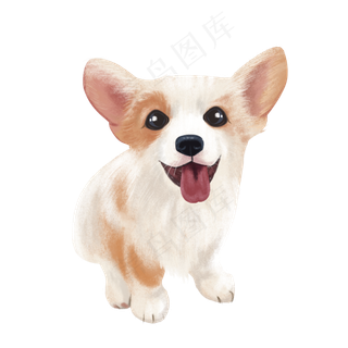 可爱柯基宠物犬,免抠元素