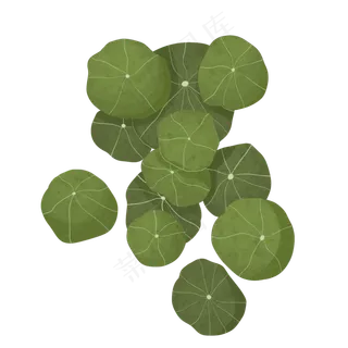 春天可爱圆形绿植,免抠元素