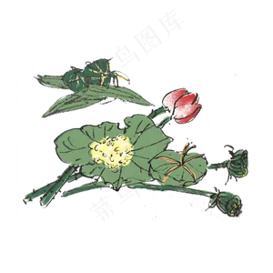 端午节吃粽子水墨手绘