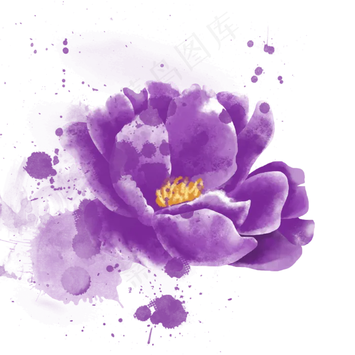 紫色的花