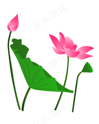 矢量卡通粉色莲花