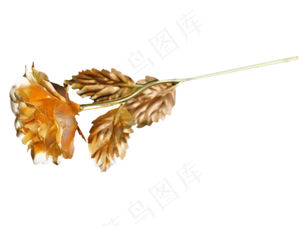 情人节礼物金玫瑰 情人节礼物金玫瑰